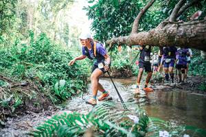 BIB: 
                            <button type="button" onclick="openModal(25478234)" class="btn btn-primary btn-sm float-right btn-popup" data-toggle="modal" data-target=".modal-high-quality">
                        <i class="fas fa-shopping-cart"></i> Add to Cart
                    </button>
                                            <button type="button" onclick="isThisMe(25478234, true)" class="btn btn-success btn-sm float-right btn-popup btn-isme hidden" data-toggle="tooltip" data-placement="bottom" title="นี่คือรูปของคุณใช่ไหม คลิกที่นี่เพื่อเอาเข้าอัลบั้ม">
                        <i class="fas fa-plus"></i> Add to album
                    </button>
                    <button type="button" onclick="isThisMe(25478234, false)" class="btn btn-warning btn-sm float-right btn-popup btn-isnotme hidden">
                        <i class="fas fa-ban"></i> Remove from album
                    </button>